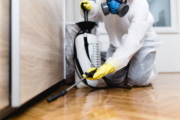 Best Affordable Pest Control Services  in Kentwood, MI