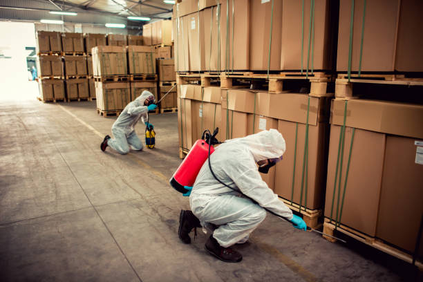 Best Pest Inspection Near Me  in Kentwood, MI
