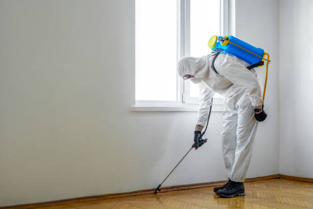 Trusted Kentwood, MI Pest Control Experts