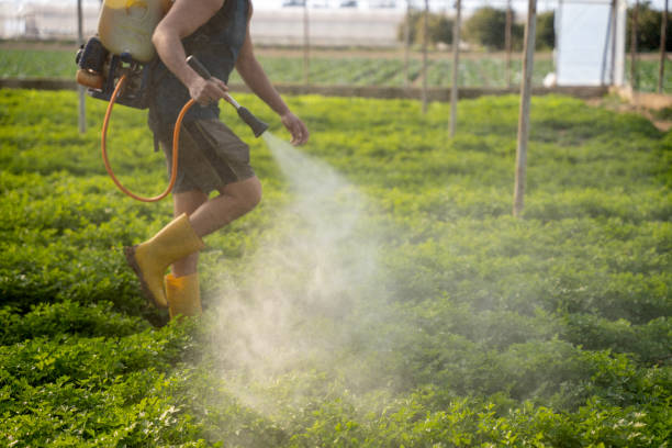 Best Best Pest Control Companies  in Kentwood, MI