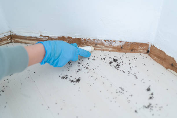 Best Exterminator Services  in Kentwood, MI