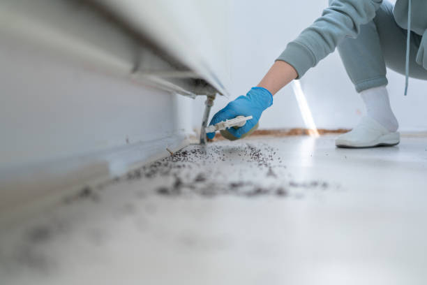 Best Flea Control Services  in Kentwood, MI