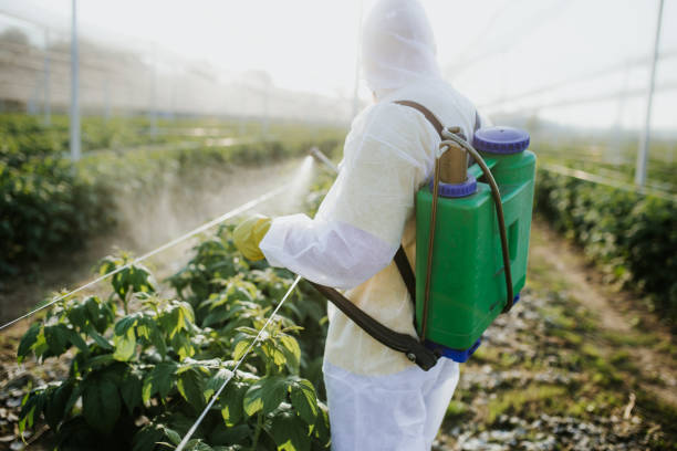 Best Pest Control Near Me in Kentwood, MI
